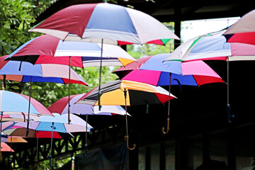 Decorative of the umbrella in the park