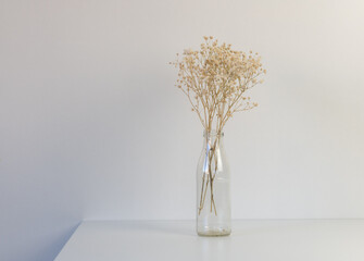 Close up of dried baby's breath (gypsophila) in glass bottle on white shelf with copy space