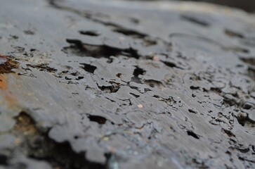 the rusty metal texture background photo