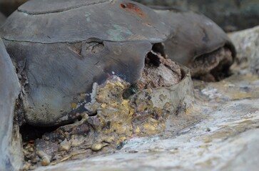 the rusty metal texture background photo