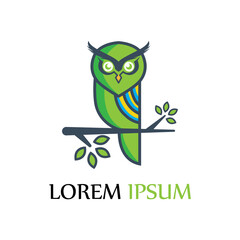 owl logo and symbol vector
