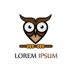 owl logo and symbol vector