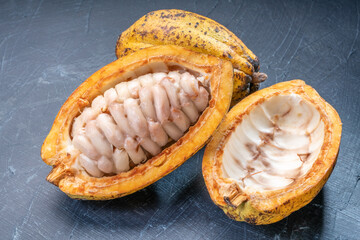 Yellow Cocoa fruit and fresh cocoa beans on black wooden background.