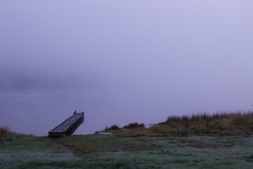 Dock in the mist