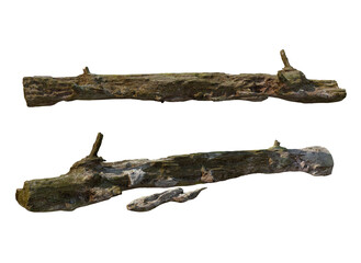 Logs on a white background