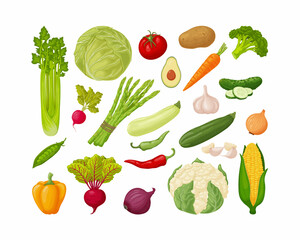 Vegetables set. A large collection of vegetables, such as celery, cabbage, tomatoes, potatoes,carrots,cucumbers, garlic, zucchini and also pepper, beets, onions and corn. Vegetarian products.