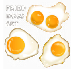 realistic fried egg vectors 