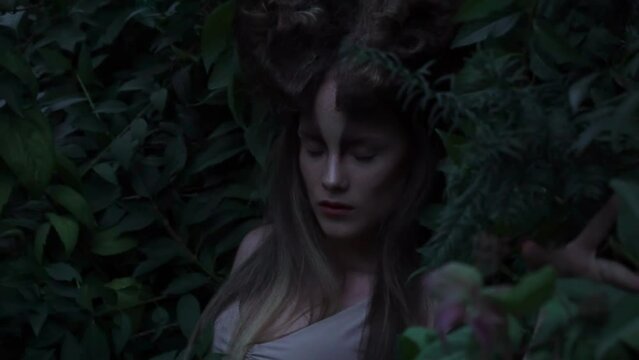 Slow Motion elf Princess vintage queen nature