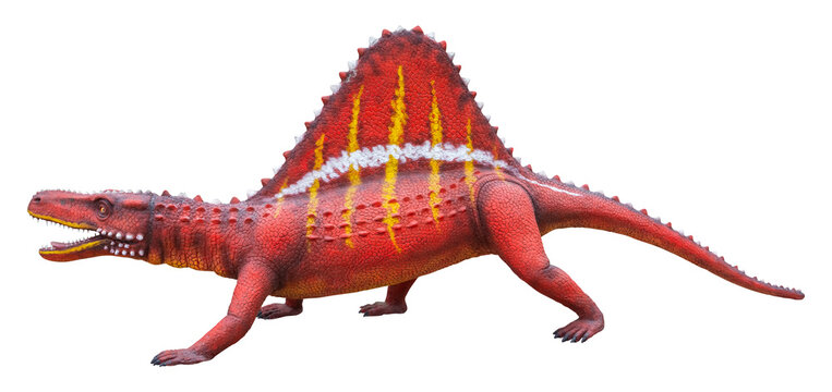 Arizonasaurus was a ctenosauriscid archosaur from the Middle Triassic, Arizonasaurus isolated on white background with clipping path