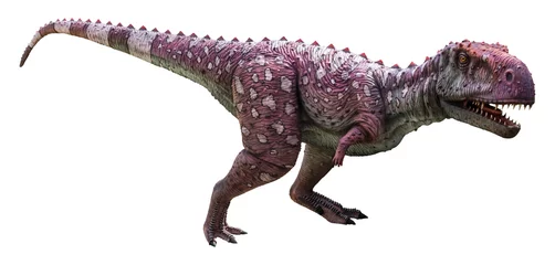 Raamstickers Arcovenator is a carnivore genus of Abelisaurid theropod dinosaurs hailing from the Late Cretaceous, Arcovenator isolated on white background with clipping path © Around Ball