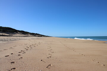 The Ninety Mile Beach near the town of Loch Sport, Central Gippsland, Victoria, Australia.