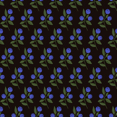 Hand Drawn Vector Seamless Pattern with Blueberry
