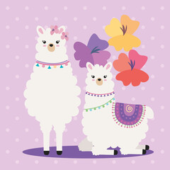 two llamas with flowers