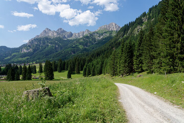 Tannheim valley, driveway on the edge of the forest in the Tannheim Valley with a view of the mountains.