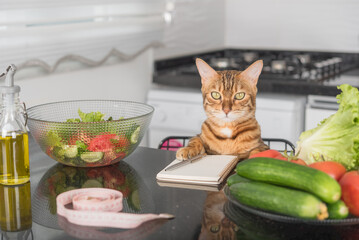 Funny cat, fresh vegetables, salad dish and measuring tape.