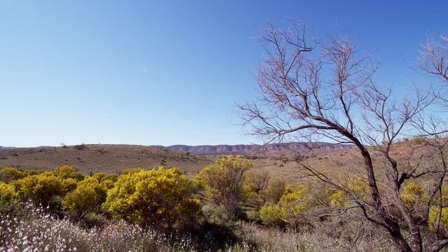 Flinders Rangers view from Elder Range Lookout 004