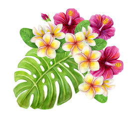 Tropical bouquet of hibiscus roses, frangipani and monstera palm leaf. Exotic floral composition of natural leaves and flowers isolated on white. © Marisha