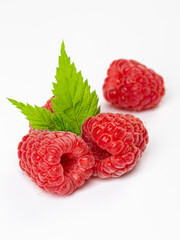 Raspberries isolated on white background close up. Raspberries Clipping Path. Mint Raspberries macro studio photo