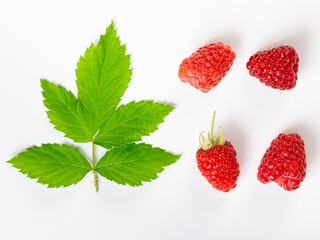 Raspberries isolated on white background close up. Raspberries Clipping Path. Mint Raspberries macro studio photo