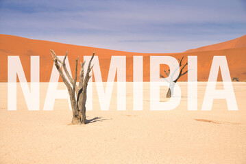 Big letters saying 'Namibia' in front of the desert landscape of Deadvlei, Namibia. Travel...