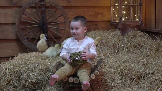 Slow Motion Cute children, boy, playing with ducks