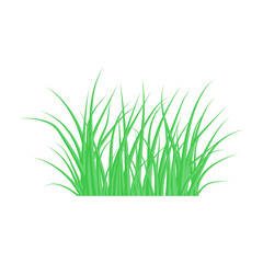 Green grass. The Bush grass. Vector illustration.