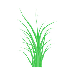 Green grass. The Bush grass. Vector illustration.