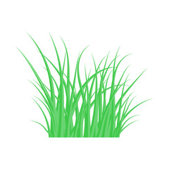 Green grass. The Bush grass. Vector illustration.