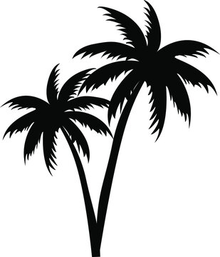 tree icon, palm tree vector silhouette with black and white