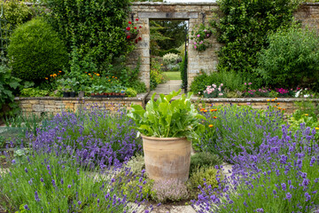 Flowerpots at Bourton House gardens, Morton in Marsh. market town in the Cotswolds,  Gloucestershire, England, uk © Snapvision