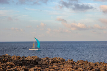 sailboat on the sea
