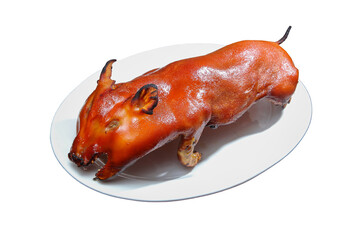 A dish of Roasted whole pig at white background	