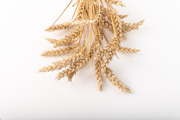 A bunch of barley on white background.