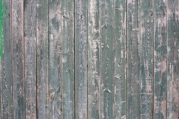 Texture of wooden planks, old barn wall, rustic style. Old painted wood in green