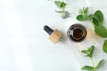 Concept of aromatherapy with mint, space for text
