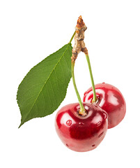 Cherry isolated on white background with clipping path