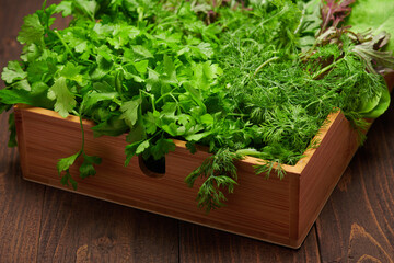 a top of bunch of green dill, parsley, salad, herbs and other greens in a wooden box, dark wood...