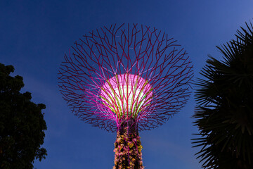 Supertree grove, Singapur
