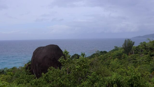 Nature of the Anse Major Trail trekking route, Seychelles