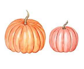 Hand drawn watercolor pumpkins, autumn illustration