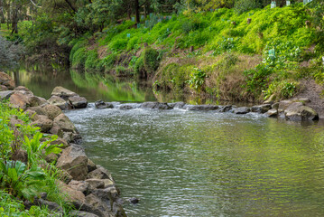 Naklejka na ściany i meble A calm tranquil scene of Merri Creek flowing through the suburbs of Melbourne, Australia
