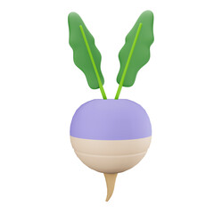 3d illustration Radish