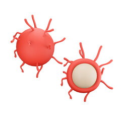 3d illustration Rambutan