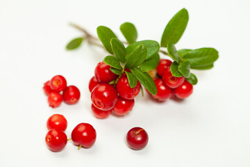 Healthy fruit and berry. Red cowberry on white background