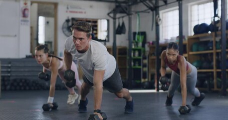 Active people using dumbbells for plank and renegade rows while training in a gym. Group of focused and diverse athletes exercising with heavy weights to gain muscle and endurance in a fitness class - Powered by Adobe