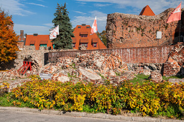 Ruins of catle in Toruń - obrazy, fototapety, plakaty
