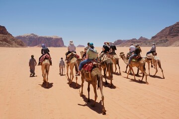 Trip on camels on Wadi Rum Desert in Jordan. The amazing Wadi Rum desert with Martian scenery.