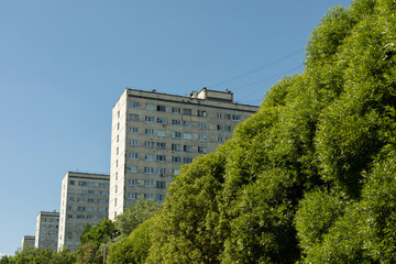 Green bushes and houses. City is green. View of urban area.