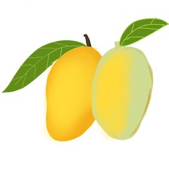 illustration of an mango against white background