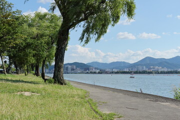 真夏の琵琶湖岸の風景